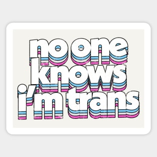 No One Know I'm Trans  - Trans Flag Rainbow Design Sticker